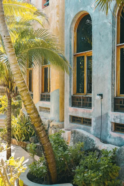 Zamas Hotel hotel detail image 2