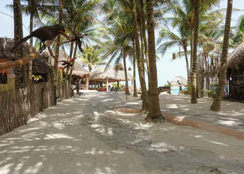 Zamas Hotel hotel thumbnail 4