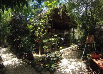 Casa Don Diego hotel thumbnail 4