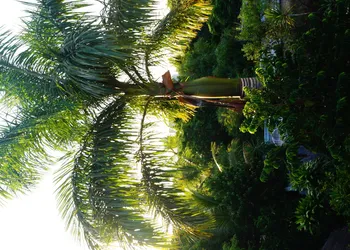 Casa Don Diego hotel thumbnail 5