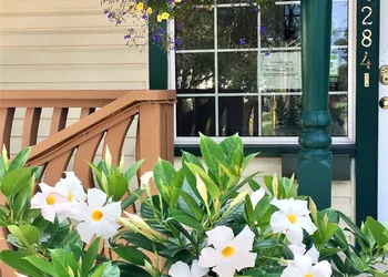 Ellis House B&B, Niagara Falls hotel thumbnail 6