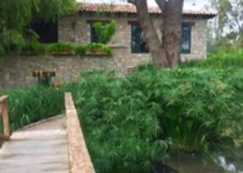 Hotel Viñedos San Lucas hotel thumbnail 4