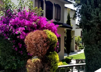 Hotel Boutique La Albertina hotel thumbnail 7