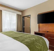 Comfort Suites San Antonio Airport North hotel detail image 5