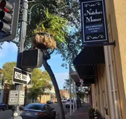 Natchez Manor Bed & Breakfast hotel detail image 3