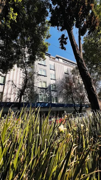 Holiday Inn Express Ciudad De Mexico Condesa by IHG hotel detail image 2