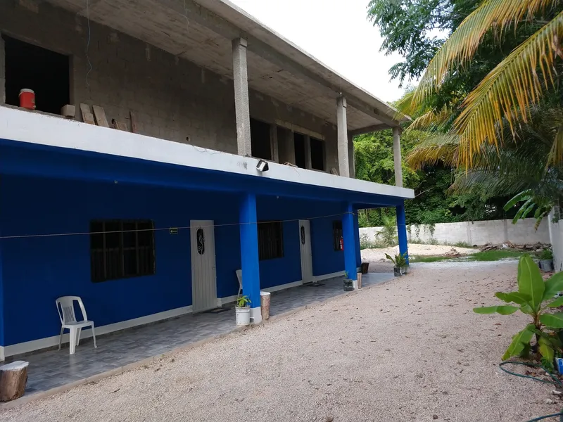 Blue Hotel hotel detail image 2