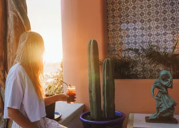 Casa Tortugas Boutique Hotel, A Hidden Gem in Cancun hotel thumbnail 6