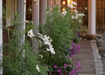 River Ranch Lodge & Restaurant hotel thumbnail 6