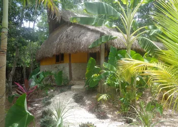 Casa Mango hotel thumbnail 3