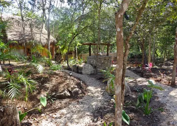 Casa Mango hotel thumbnail 4