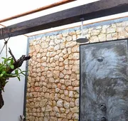 Aqua Viva Tulum hotel detail image 3