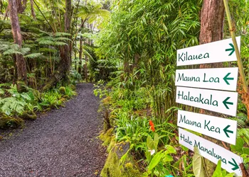 Volcano Village Lodge hotel thumbnail 2