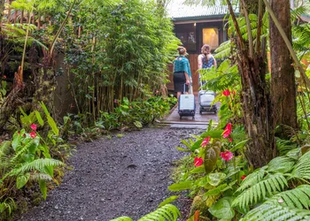 Volcano Village Lodge hotel thumbnail 4
