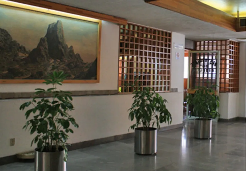 OYO Hotel Hidalgo hotel detail image 6