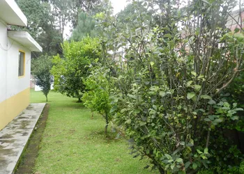 Hotel Finca los Girasoles hotel thumbnail 8
