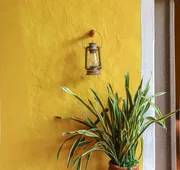 Hacienda San Miguel hotel detail image 4