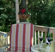 Oak Hill Bed & Breakfast hotel detail image 3