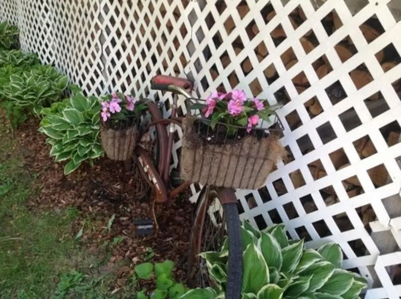 Oak Hill Bed & Breakfast hotel detail image 6