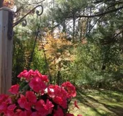 Oak Hill Bed & Breakfast hotel detail image 7