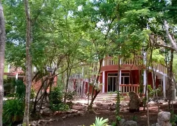 Eco-Hotel Nueva Altia hotel thumbnail 5