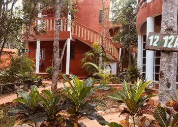 Eco-Hotel Nueva Altia hotel thumbnail 8