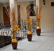 Hotel Conquistadores hotel detail image 3