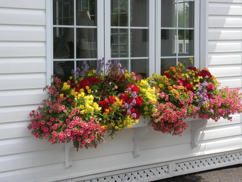 Cote's Bed & Breakfast Inn hotel detail image 2