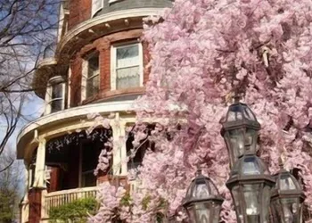 Wilson House Bed & Breakfast hotel thumbnail 2