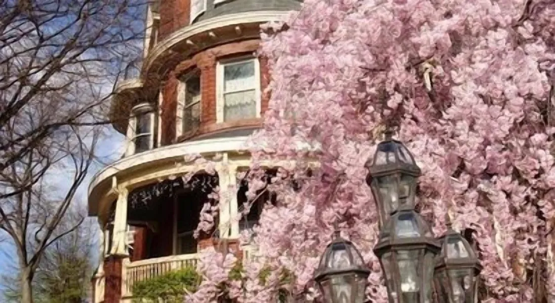 Wilson House Bed & Breakfast hotel detail image 2