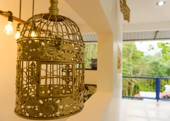Hacienda Bambú hotel thumbnail 8