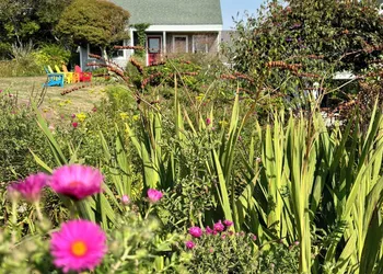 Sea Breeze Inn hotel thumbnail 5
