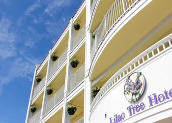 Lilac Tree Suites hotel thumbnail 2