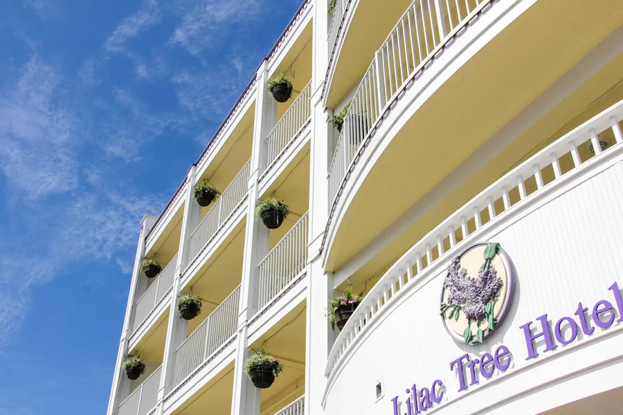 Lilac Tree Suites hotel detail image 2