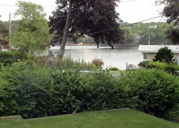 The Pebble Bed & Breakfast hotel thumbnail 3