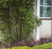 Hotel GYA Boutique hotel detail image 5