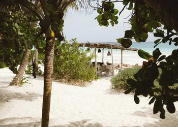 Casa Violeta hotel thumbnail 5