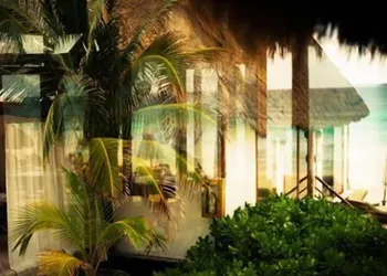Casa Violeta hotel thumbnail 6