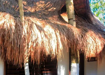 Casa Violeta hotel thumbnail 8