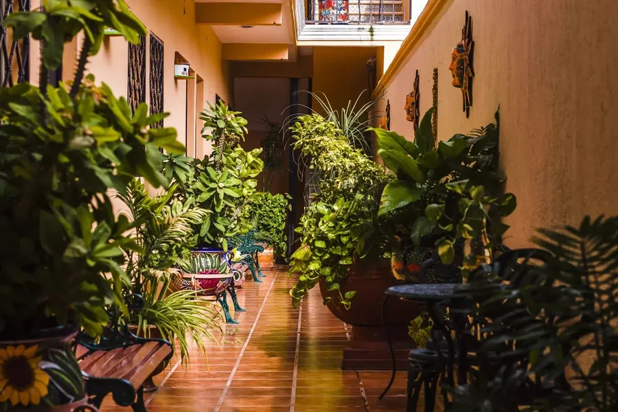 Hotel Rosalia hotel detail image 6