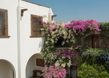 Hotel Layseca hotel thumbnail 6