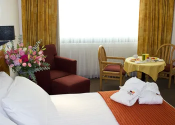 Hotel San Juan Park hotel thumbnail 6