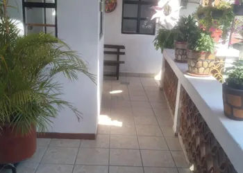 Hotel Las Palomas hotel thumbnail 4