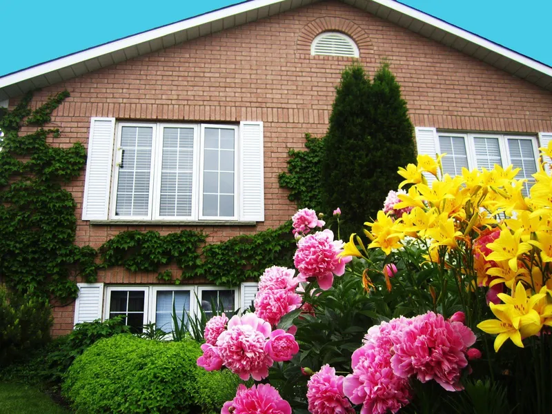 Opus 74 Bed & Breakfast hotel detail image 2