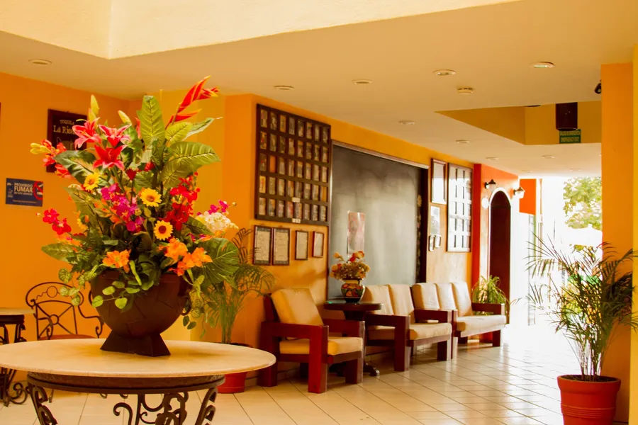 Hotel Plaza Jardín hotel detail image 6