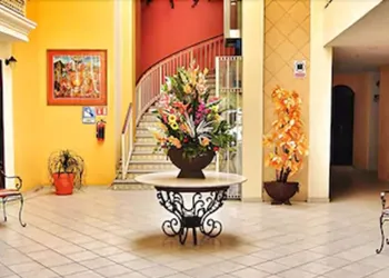 Hotel Plaza Jardín hotel thumbnail 8