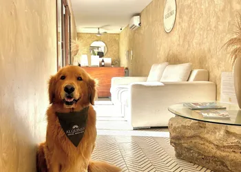 Alquimia Hotel Boutique hotel thumbnail 6