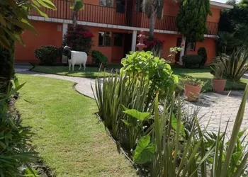 Villas Hotel Cholula hotel thumbnail 7