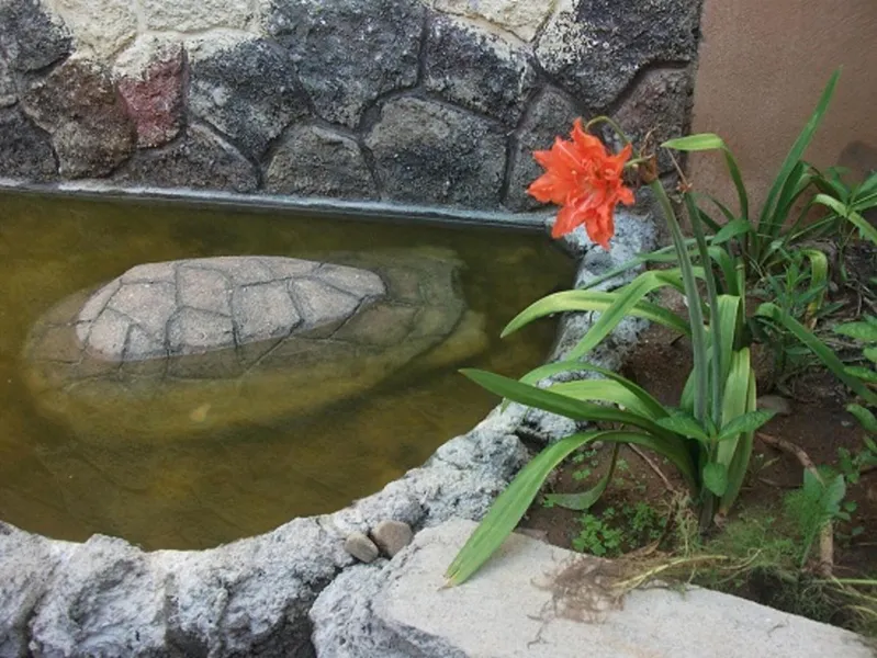 Hotel Bigu hotel detail image 6