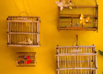 Hotel Casa Alvarada hotel thumbnail 6